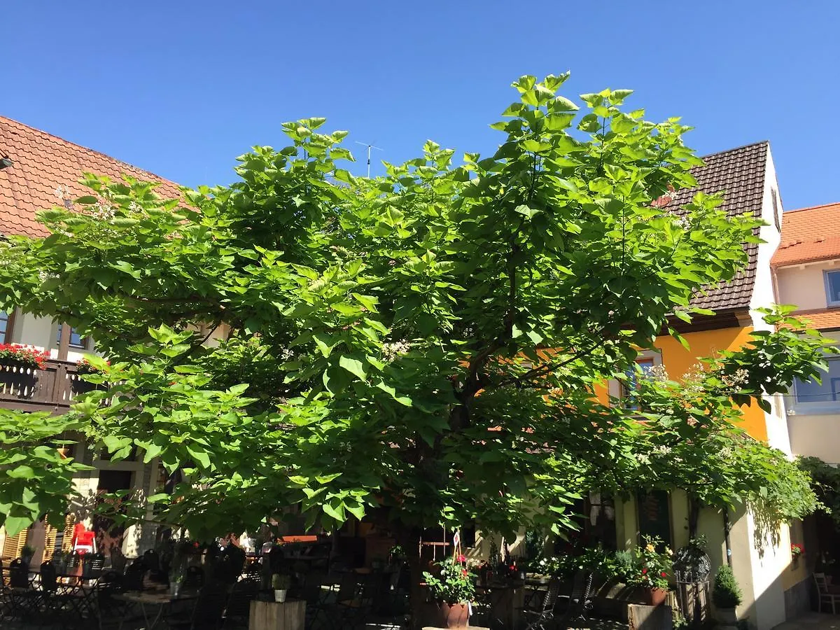 Gasthof zum Storch Prichsenstadt